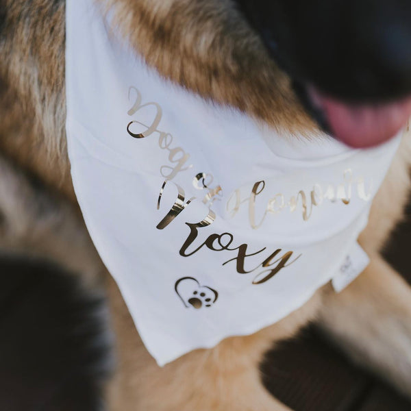 Personalised Wedding Dog Bandana - Dog of Honour - Customisable Name - White and Gold