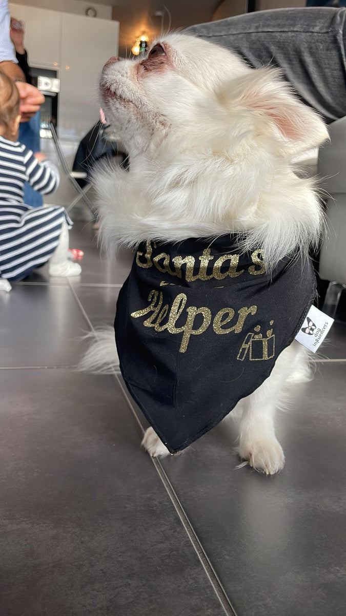 Christmas Dog Bandana - Santa's Little Helper - Gold Glitter on Black Bandana - All Sizes