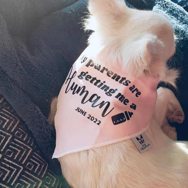 Pregnancy Announcement Dog Bandana - Customisable Due Date - My Parents are Getting me a Human