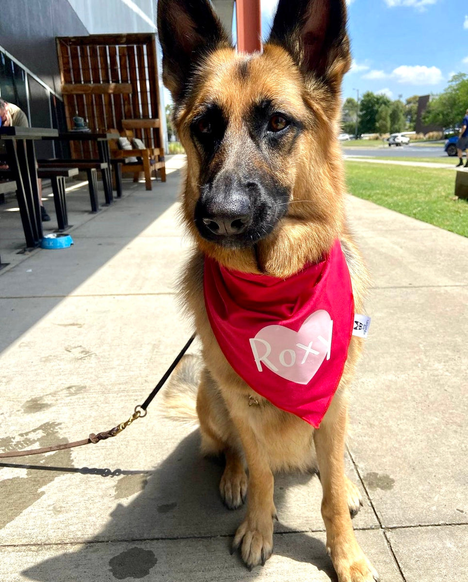 Personalised Dog Bandana with Dog Name - Custom Pink & Red Dog Heart Scarf