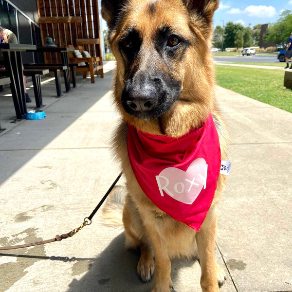 Personalised Dog Bandana with Dog Name - Custom Pink & Red Dog Heart Scarf
