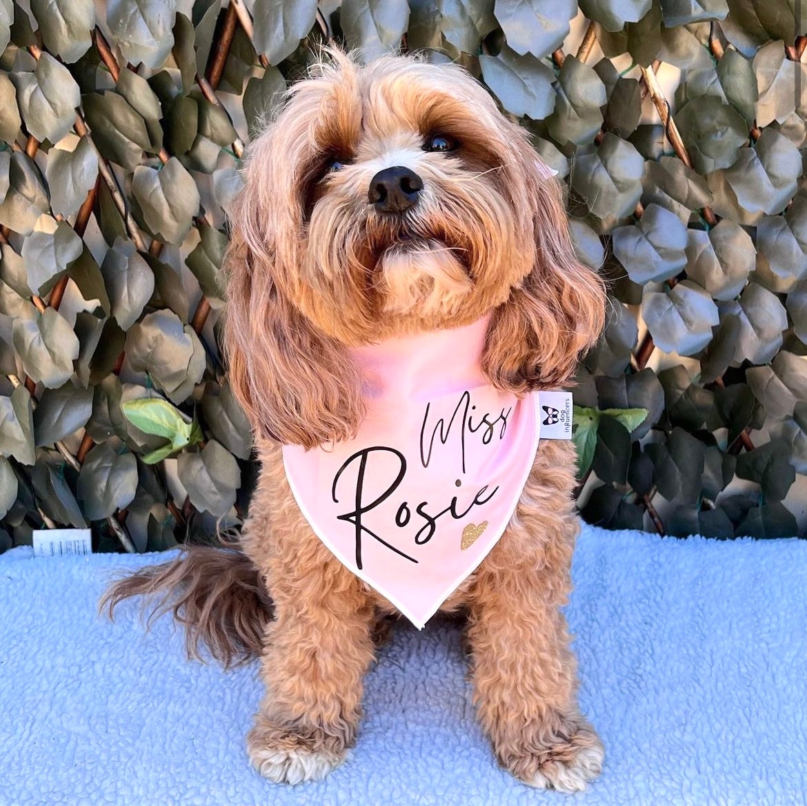 Personalised Dog Bandana with Dog Name - Pink bandana, Name in black, Golden glitters hearts