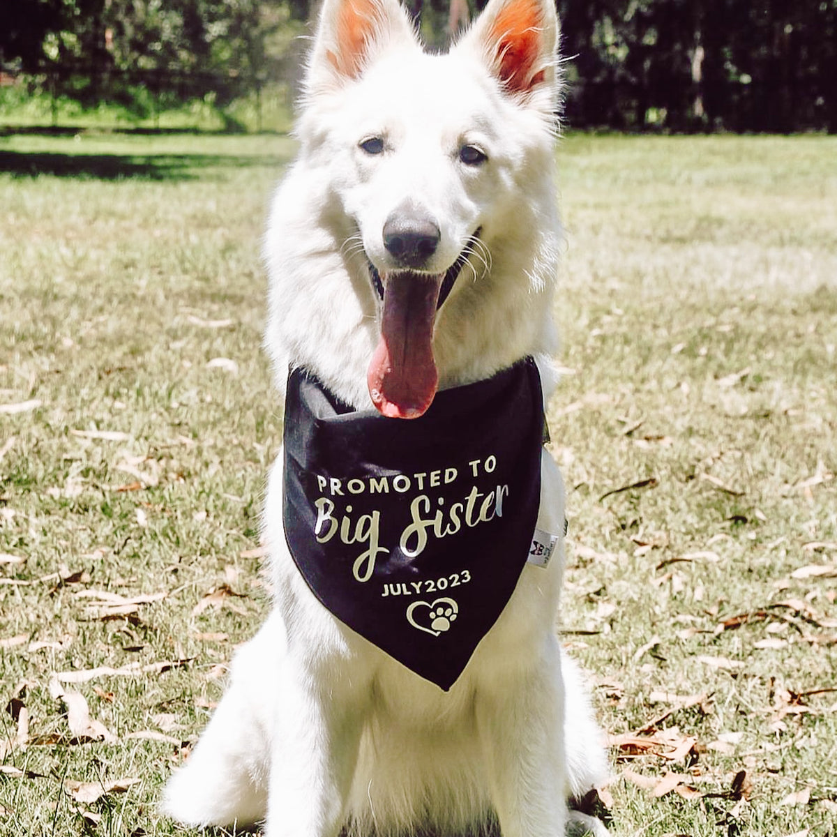 Pregnancy Announcement Dog Bandana - Customisable Due Date - Big Sister