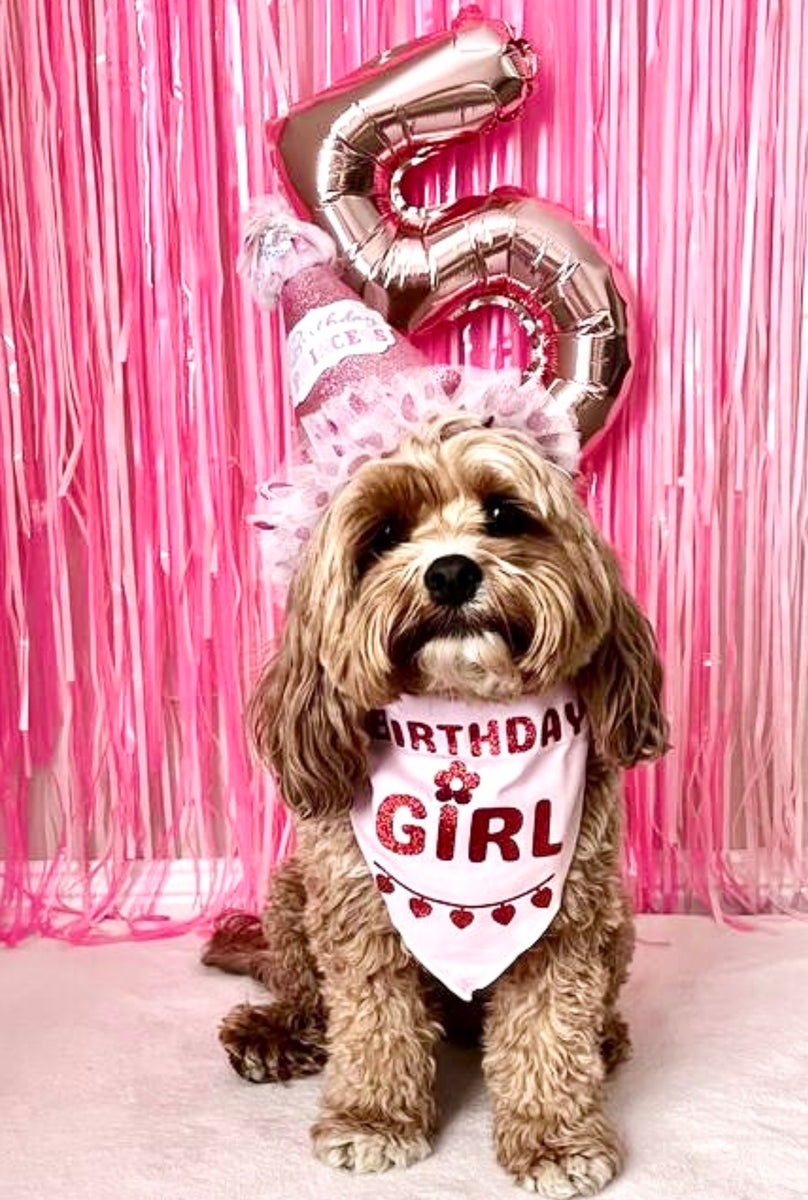 Birthday Dog Bandana, "Birthday Girl", Birthday Party Female Dog Bandana, Pink