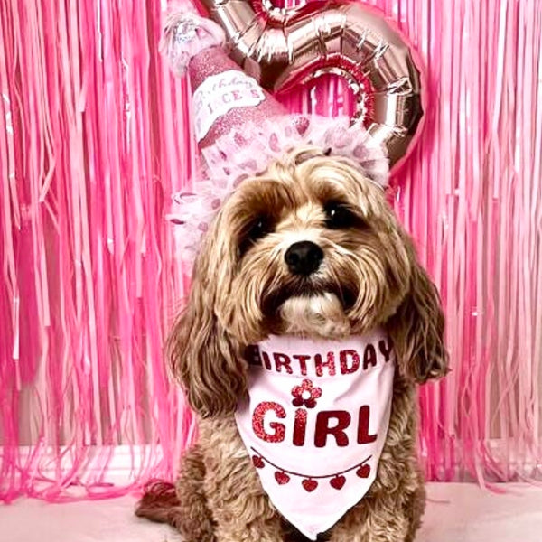 Birthday Dog Bandana, "Birthday Girl", Birthday Party Female Dog Bandana, Pink