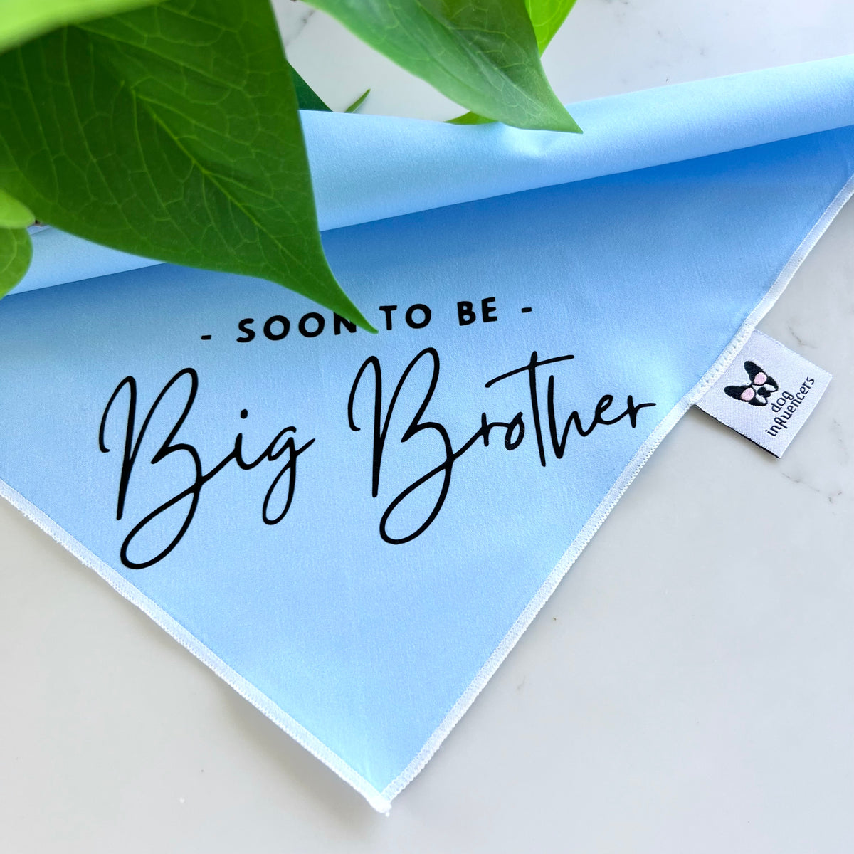 Dog Bandana - " Soon to be - Big Brother" - Pregnancy Announcement - Baby Reveal