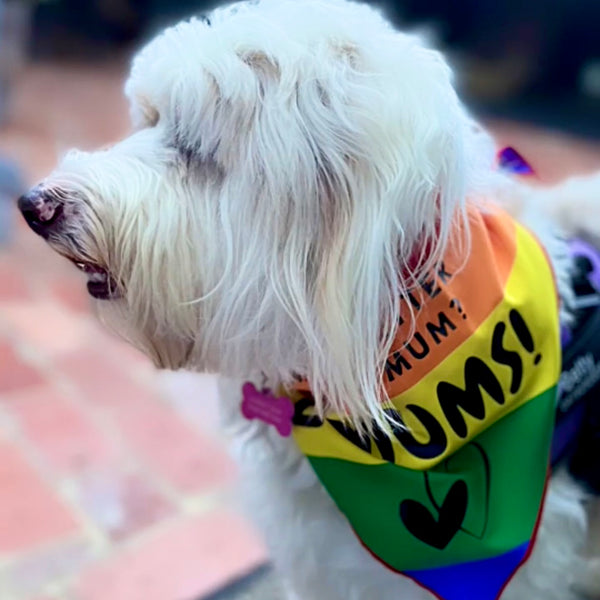 LGBTQ Pride Dog Bandana - What's better than a mum, 2 mums!