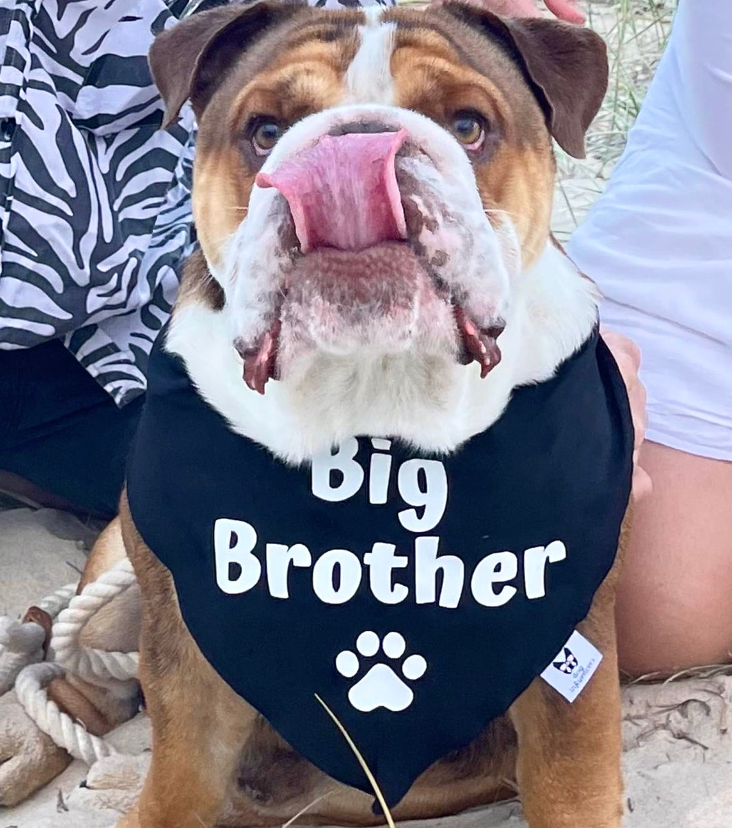 Dog Bandana - "Big Brother" - Pregnancy Announcement - Baby Shower gift