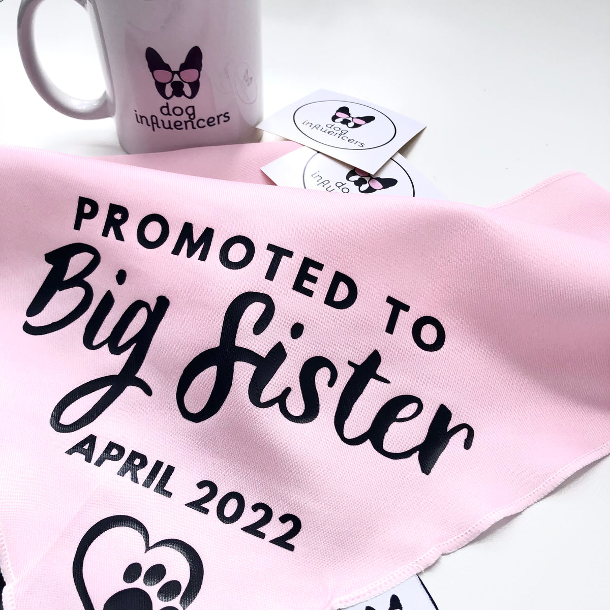 Pregnancy Announcement Dog Bandana - Customisable Due Date - Big Sister