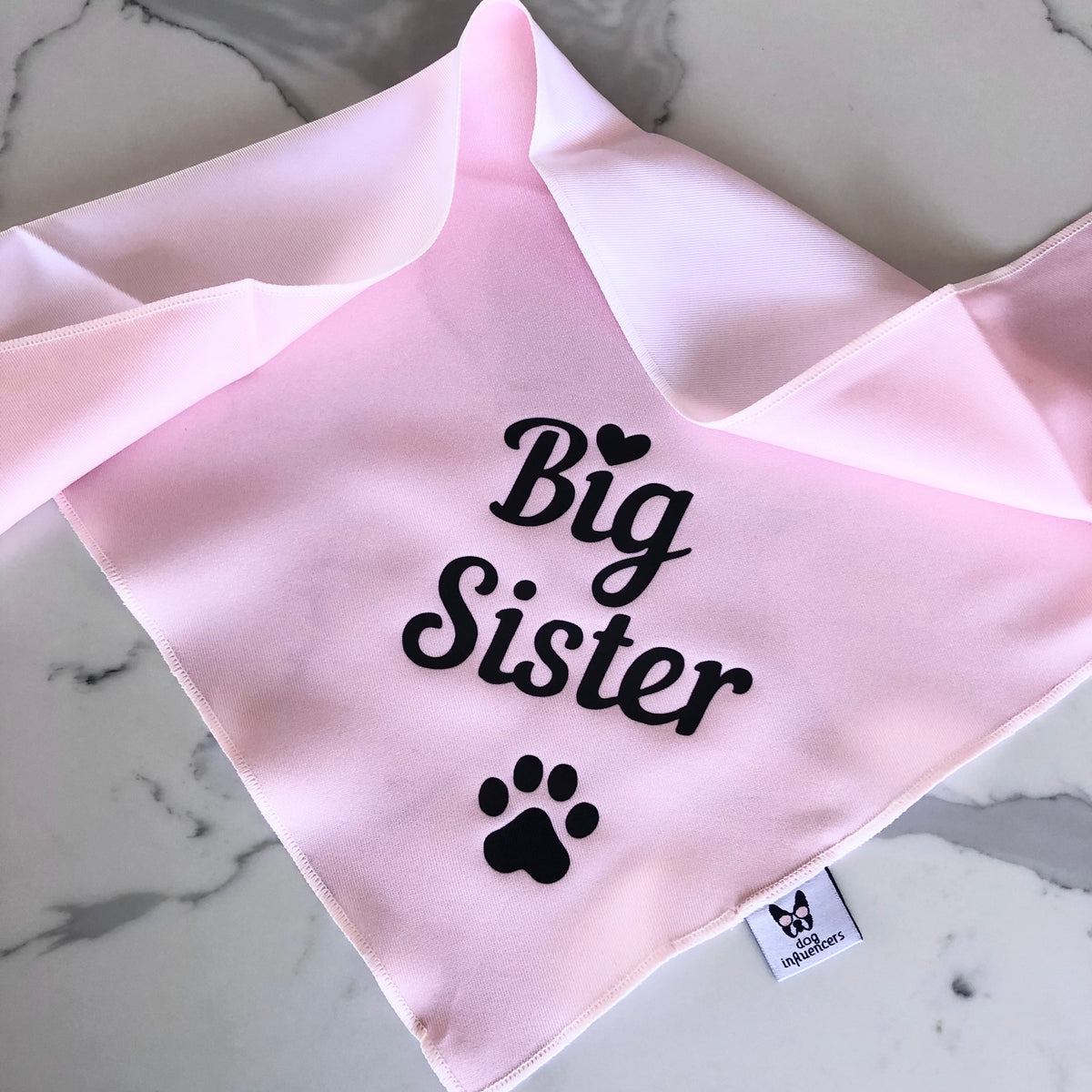 Dog Bandana - "Big Sister" - Pregnancy Announcement - Baby Shower gift