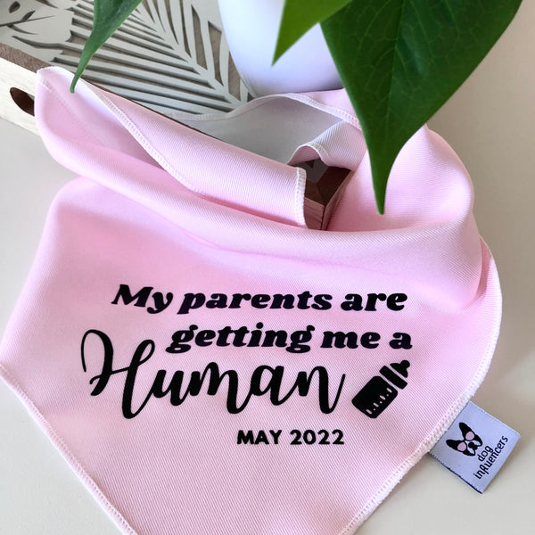Custom Due Date “Getting Me a Human” Dog Bandana