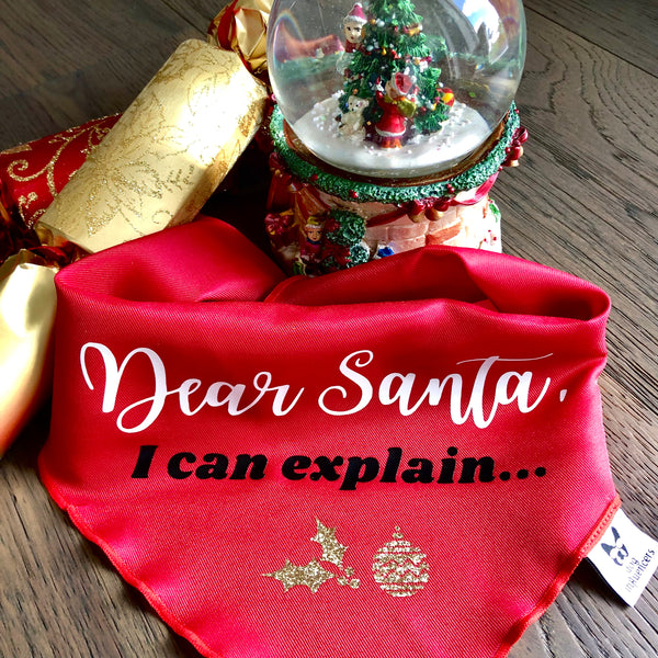 Christmas Dog Bandana - Dear Santa I can Explain - Red & White Bandana - All Sizes
