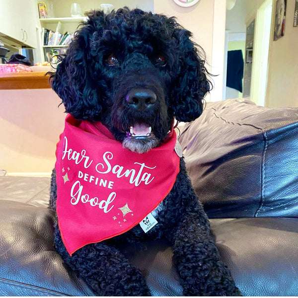 Christmas Dog Bandana - Dear Santa Define Good - Red & White Bandana - All Sizes
