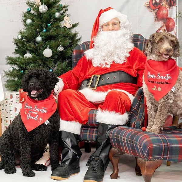 Christmas Dog Bandana - Dear Santa Define Good - Red & White Bandana - All Sizes