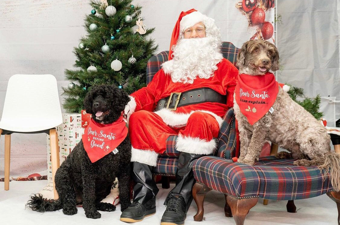 Christmas Dog Bandana - Dear Santa I can Explain - Red & White Bandana - All Sizes
