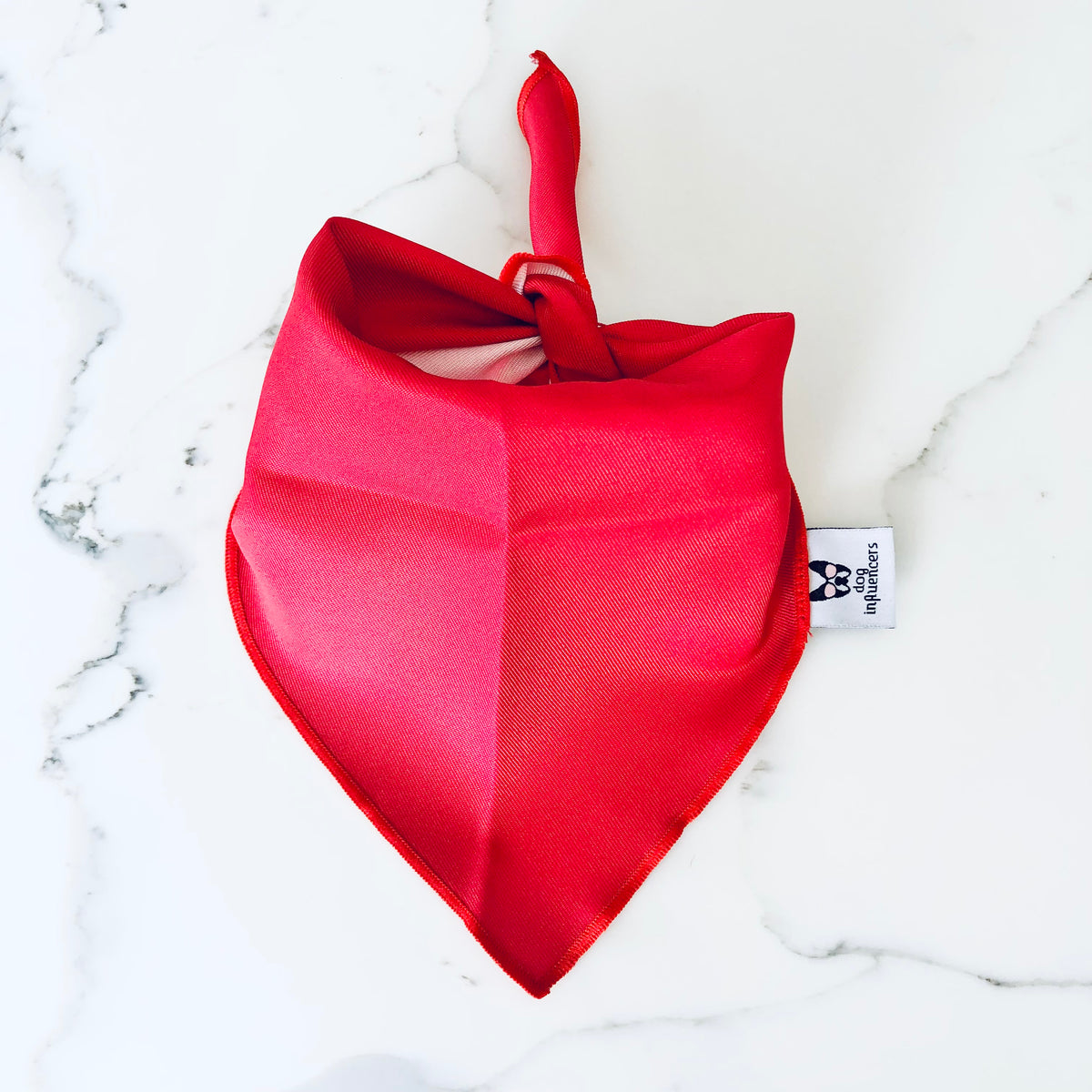 Mystery Bandana - Personalised Dog Bandana with Dog Name