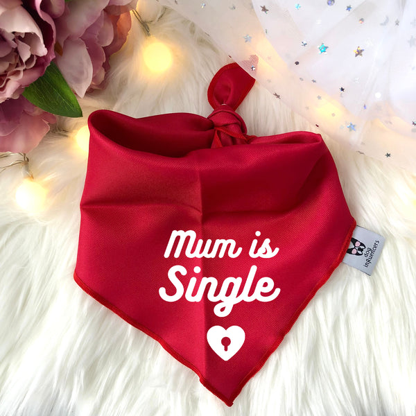 Valentine Dog Bandana - Mum is Single - Funny Bandana for Pet - Gift for Single Dog Mums - Valentine Day