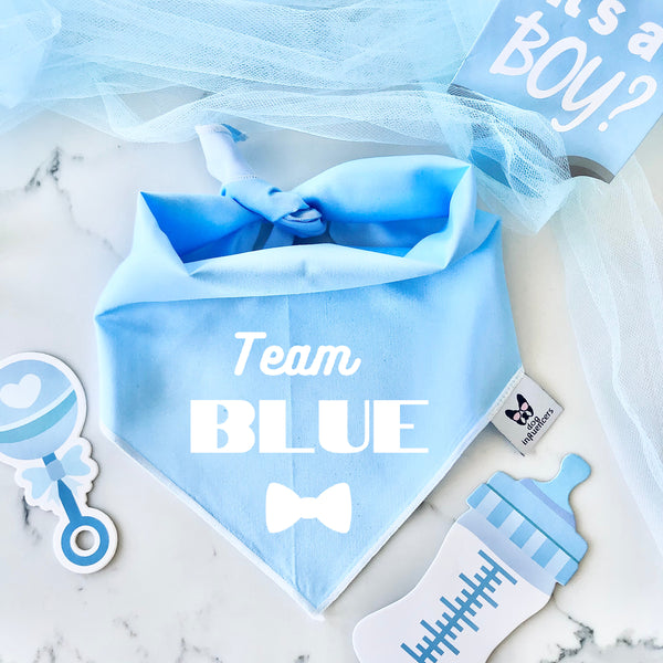 Gender Reveal Dog Bandana - Team Blue