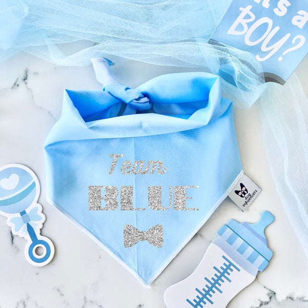 Gender Reveal Dog Bandana - Team Blue