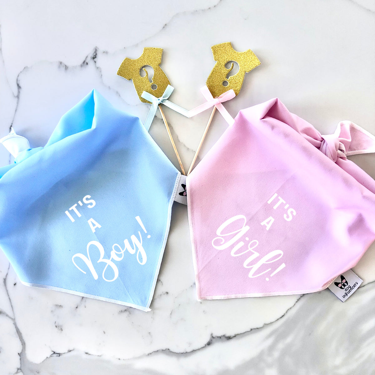 Gender Reveal Dog Bandana - It's a Boy