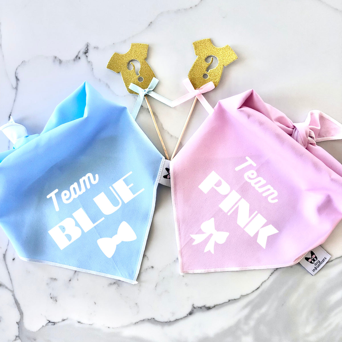 Gender Reveal Dog Bandana - Team Pink