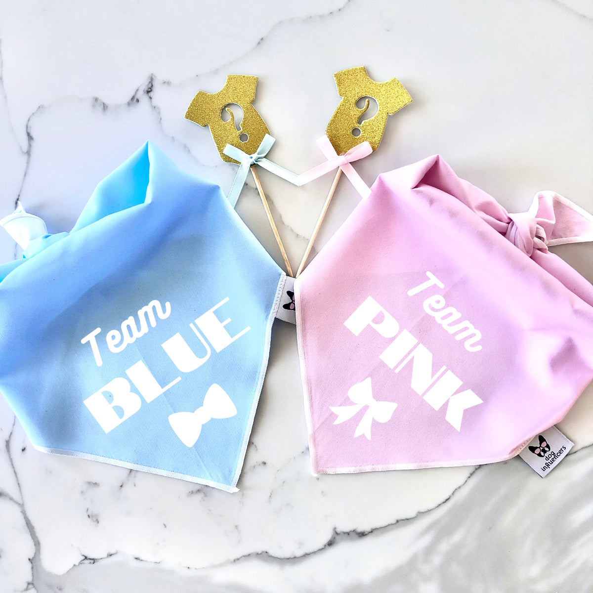 Gender Reveal Dog Bandana - Team Blue