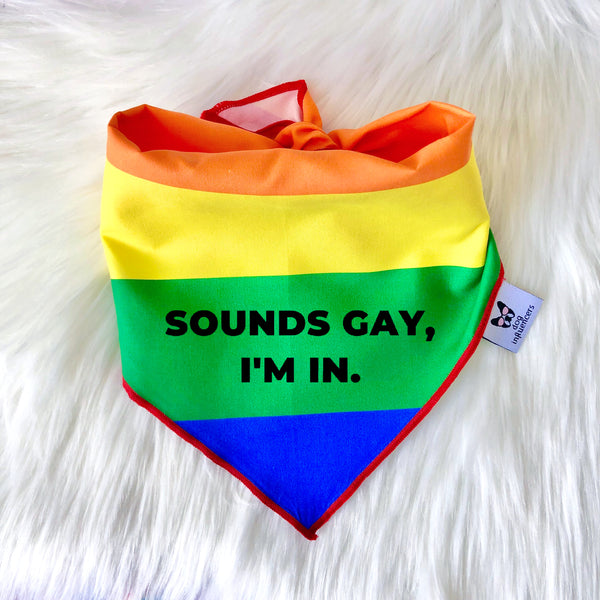LGBTQ Pride Dog Bandana - Sounds Gay, I'm in