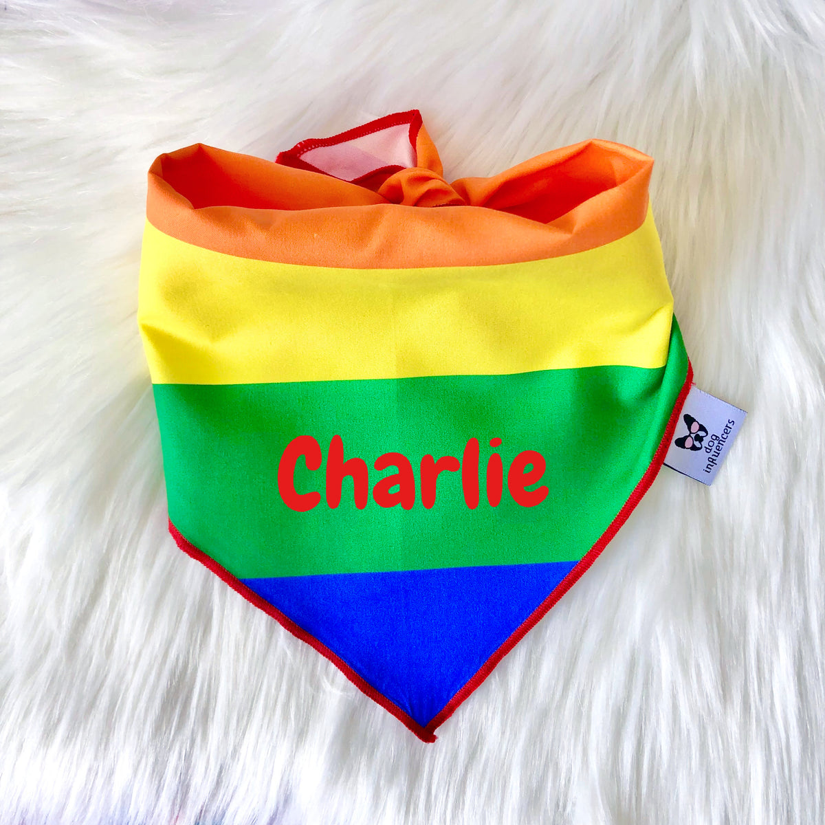 LGBTQ Pride Dog Bandana - Personalised Dog's Name