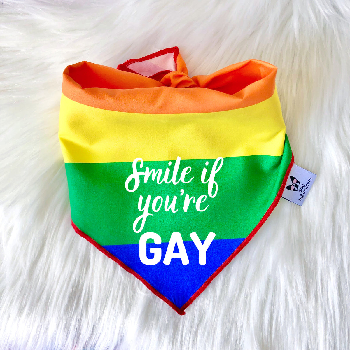 LGBTQ Pride Dog Bandana - Smile if you're Gay