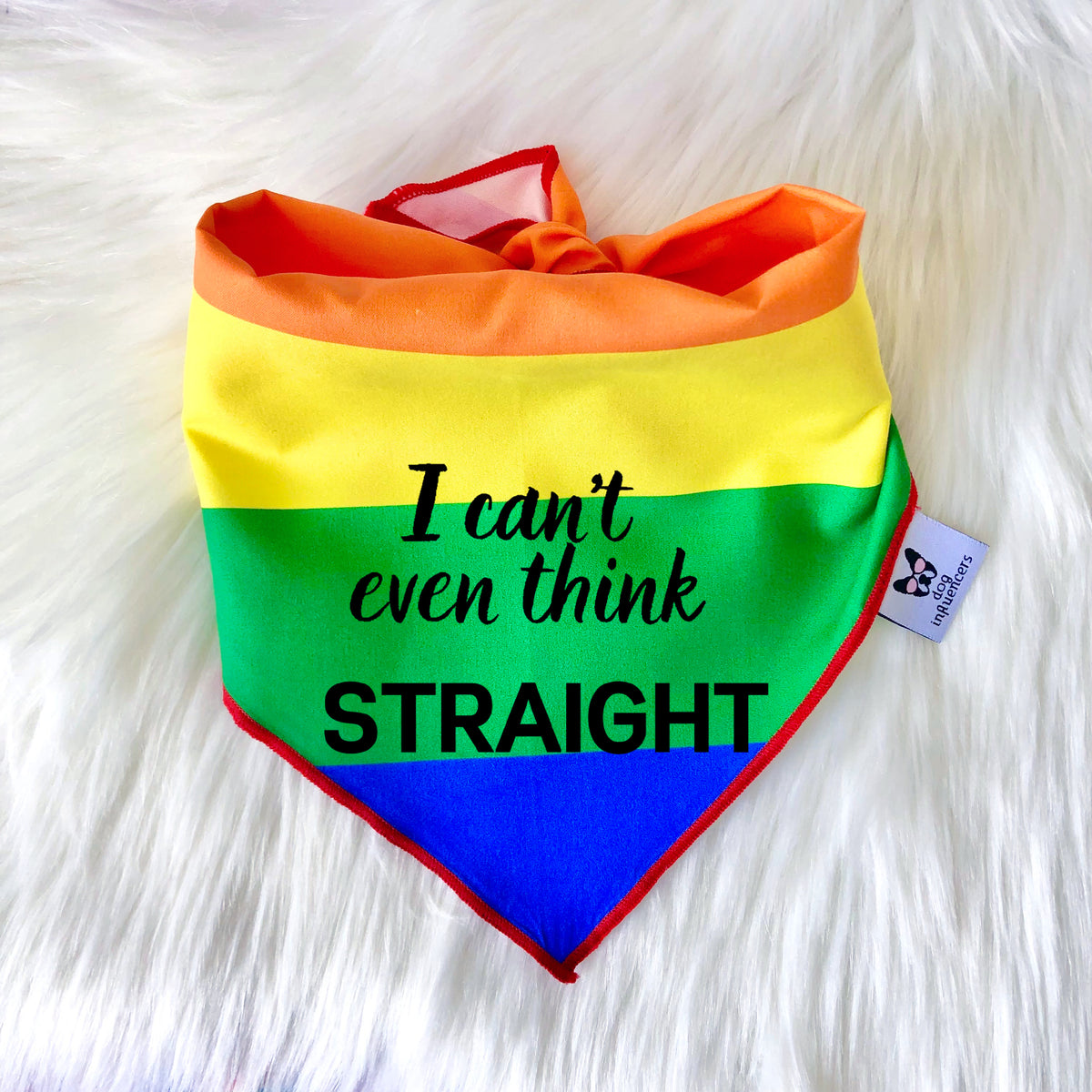 LGBTQ Pride Dog Bandana - I can't even think straight