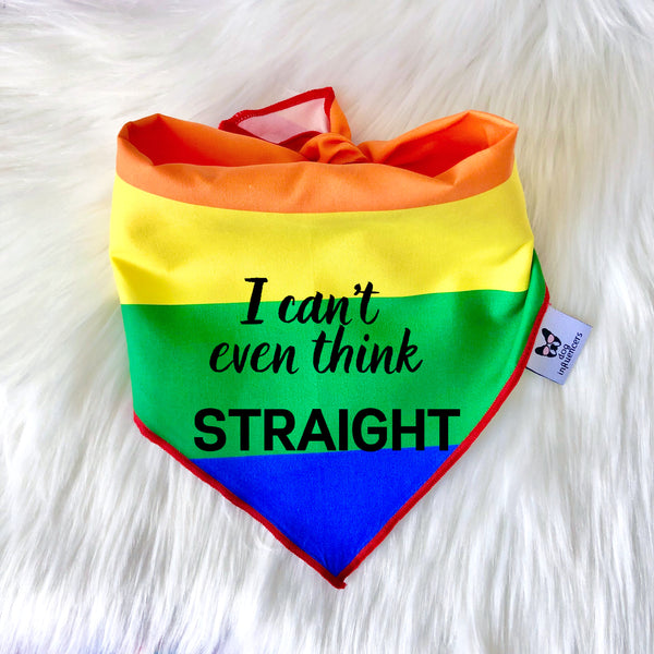 LGBTQ Pride Dog Bandana - I can't even think straight