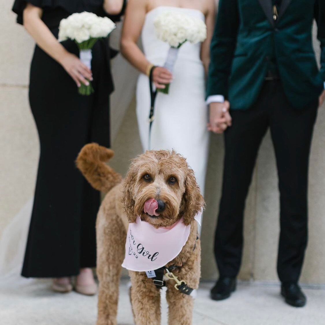 Personalised Wedding Dog Bandana - Flower Pooch - Customisable Date - Pink