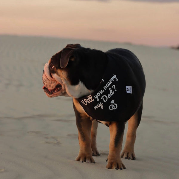 Proposal Dog Bandana - Mum Will You Marry My Dad