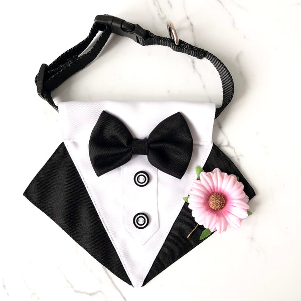 Dog Tuxedo Bandana with Flower Boutonniere - Black