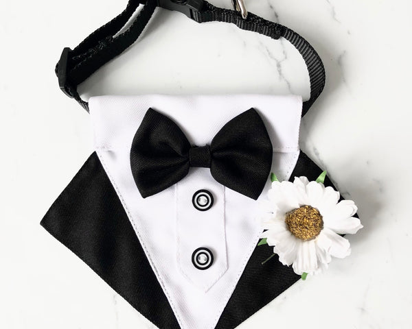 Dog Tuxedo Bandana with Flower Boutonniere - Black