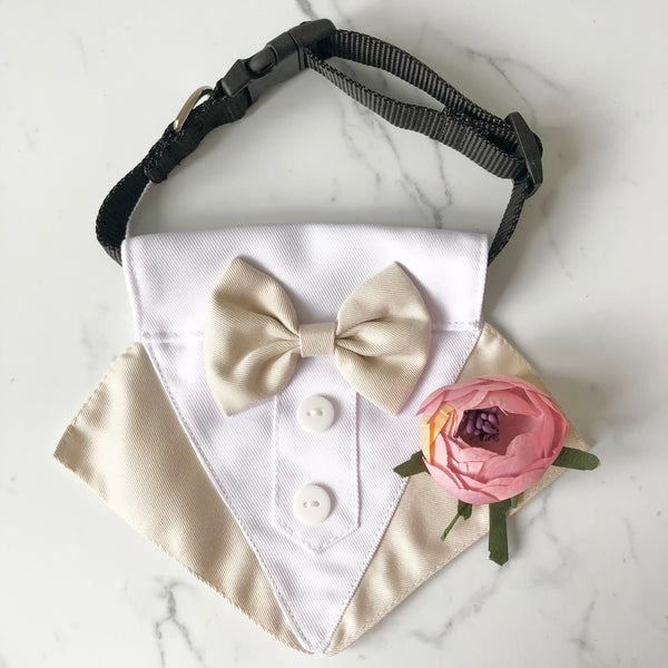 Dog Tuxedo Bandana with Flower Boutonniere - Beige