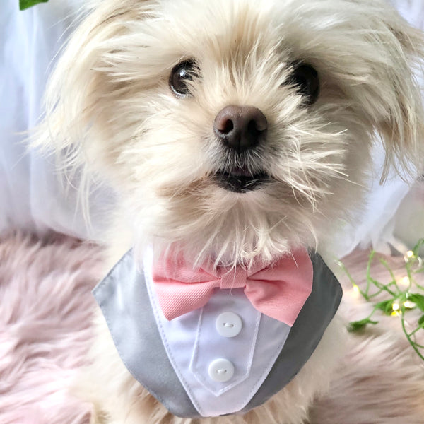 Dog Tuxedo Bandana  - Wedding, Formal Event & Special Occasion