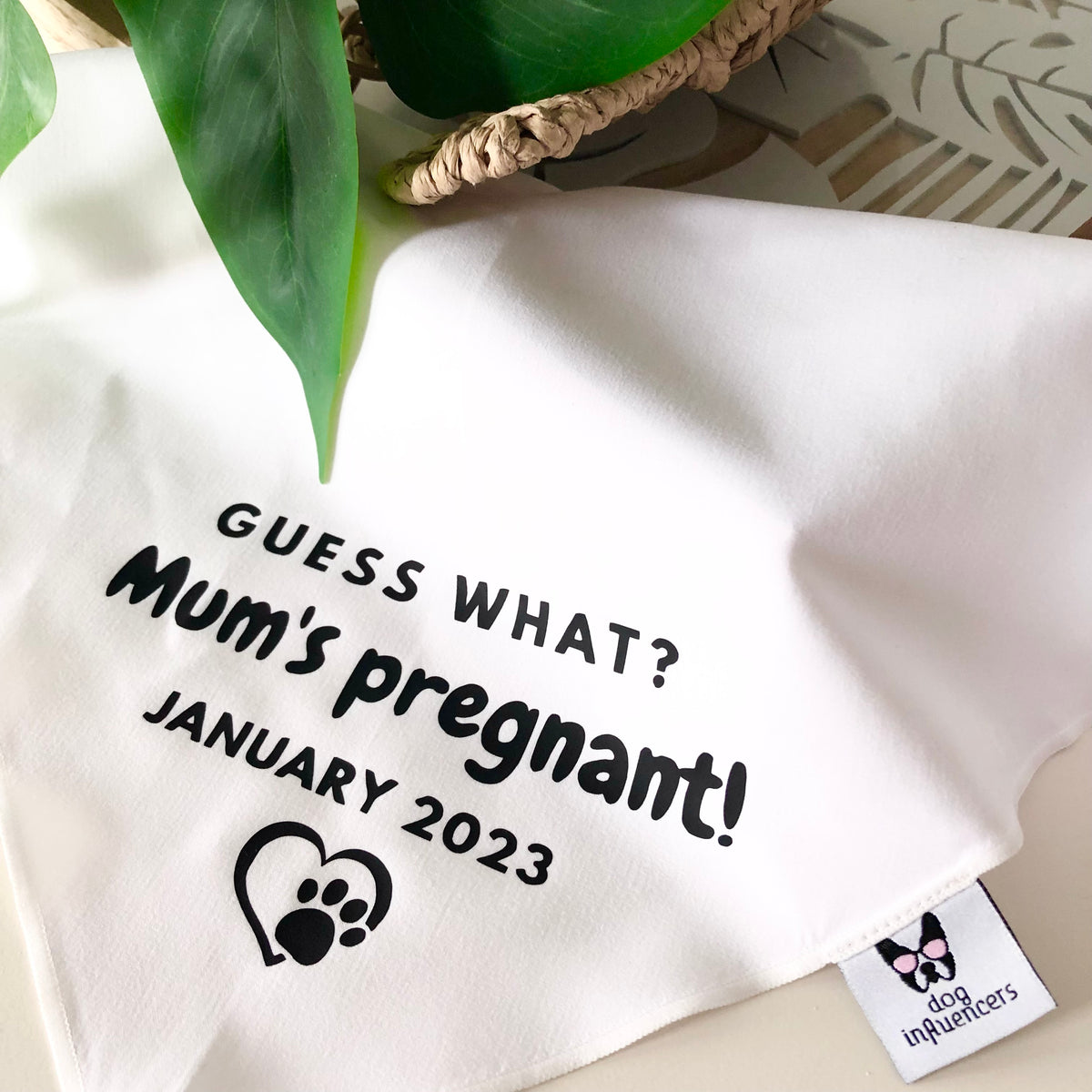 Pregnancy Announcement - Guess what? Mum's Pregnant! - Baby Reveal - Customised due date