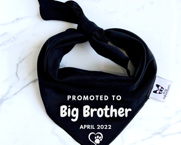 Pregnancy Announcement Dog Bandana - Customisable Due Date - Big Brother