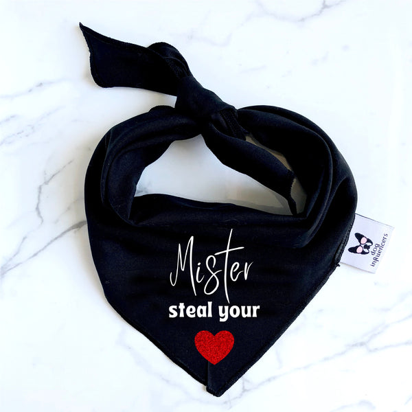 Valentine Dog Bandana, Mister Steal Your Heart, Dog Gift, Cute Bandana for Male Pet