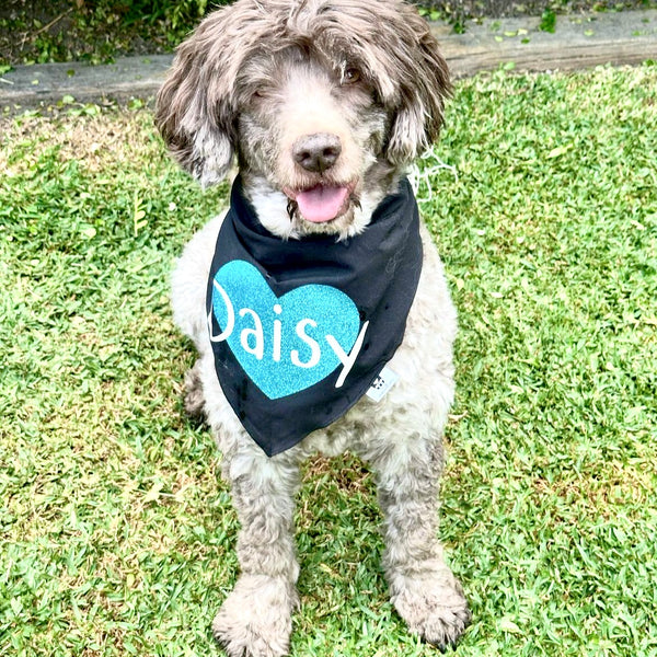 Personalised  Dog Bandana with Dog Name - Custom Black & Glitter Blue Dog Heart Scarf