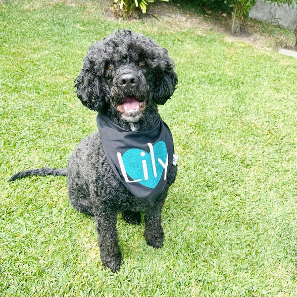 Personalised  Dog Bandana with Dog Name - Custom Black & Glitter Blue Dog Heart Scarf