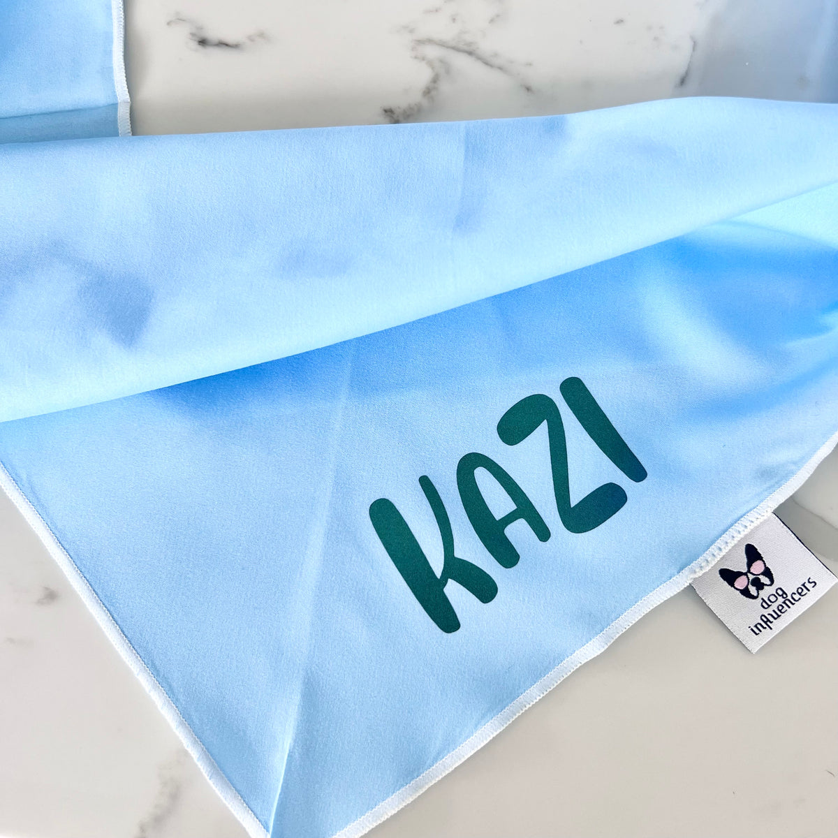 Copy of Personalised Dog Bandana with Dog Name - Blue bandana, green metal print