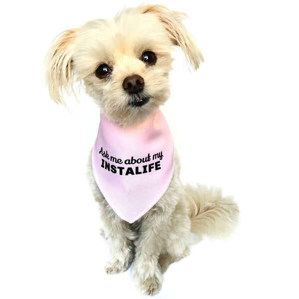 "Ask me about my Instalife" Pink Dog Bandana - Dog Influencers