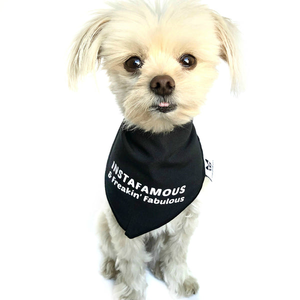 "Instafamous & Freakin Fabulous" Black Dog Bandana - Dog Influencers