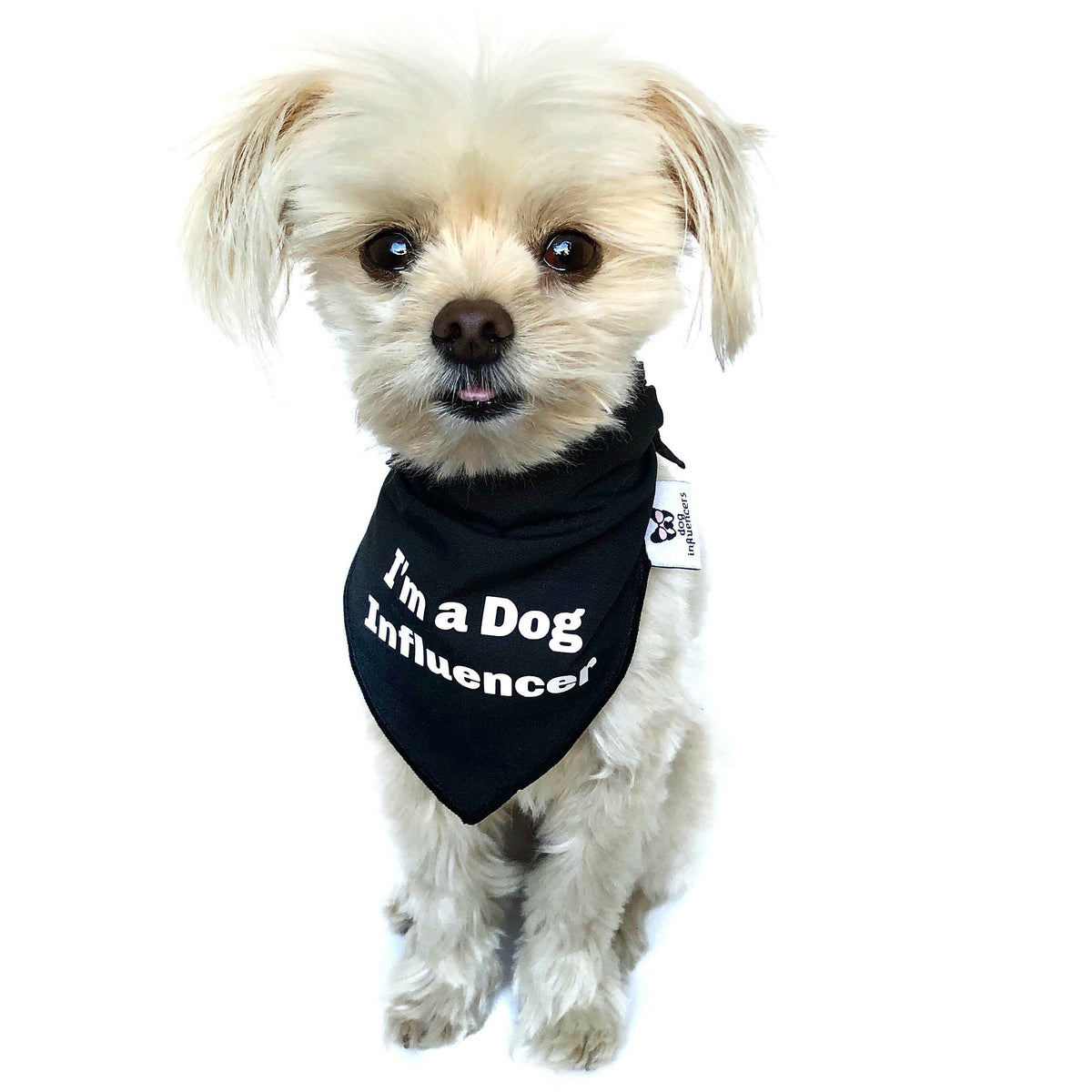 "I'm a Dog Influencer" Black Dog Bandana - Dog Influencers