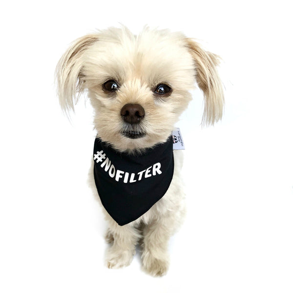 " #NoFilter" Black Dog Bandana - Dog Influencers
