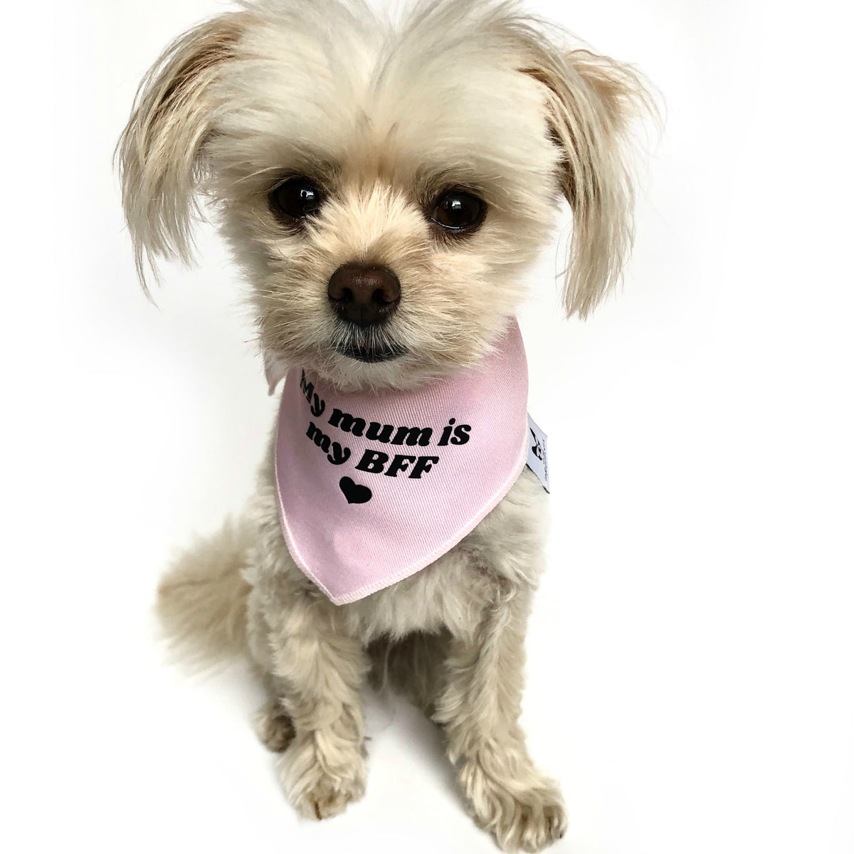 "My mum is my BFF" Pink Dog Bandana - Dog Influencers