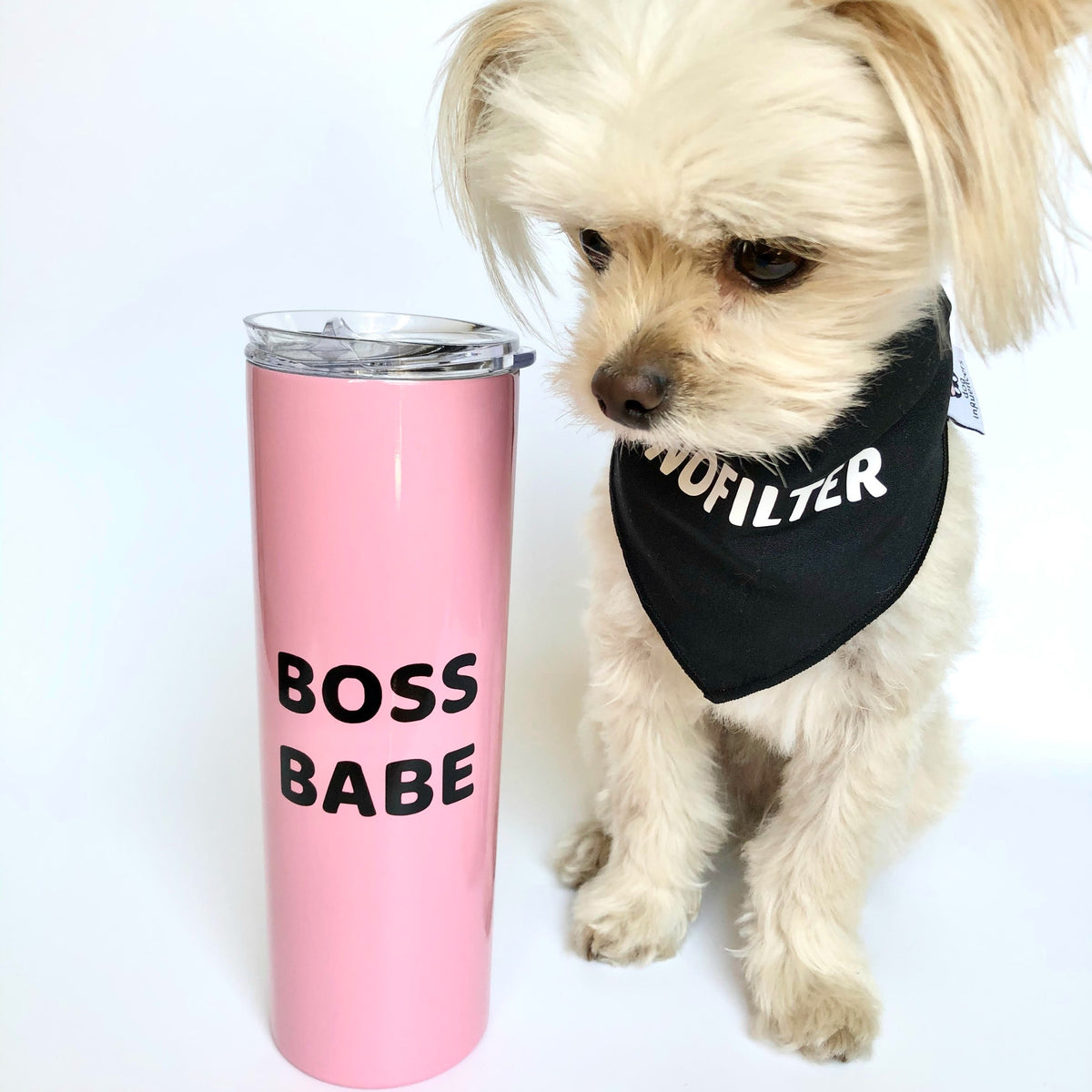 "Boss Babe" Pink Stainless Steel Skinny Tumbler - Dog Influencers