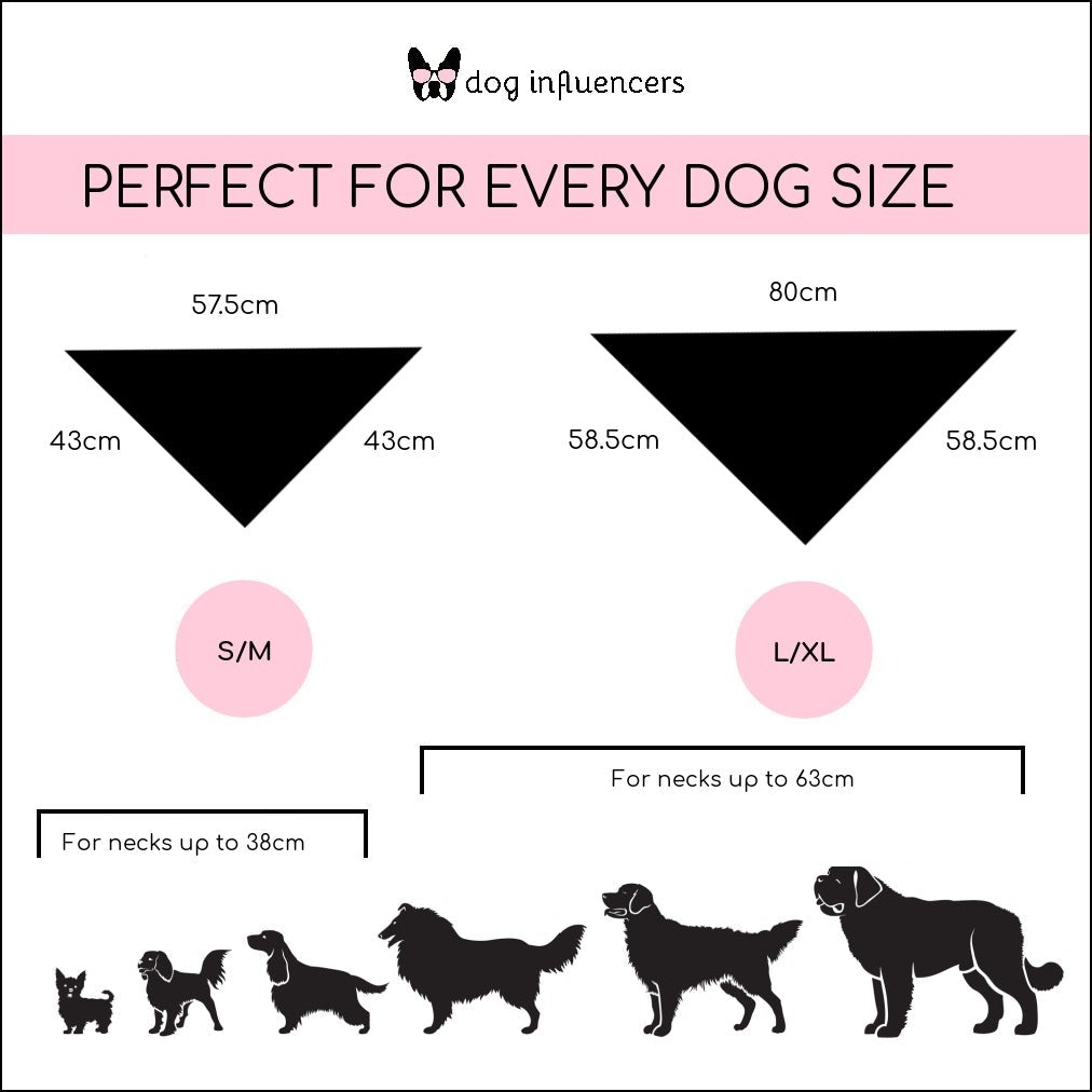 Valentine Dog Bandana, Miss Melt Your Heart, Dog Gift, Cute Bandana for Female Pet